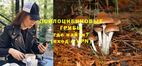 стафф Алексин
