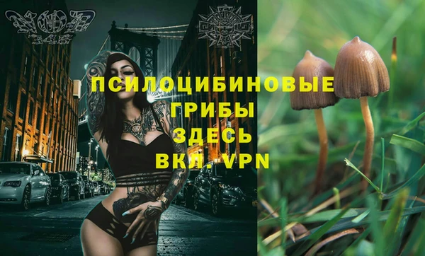 молекула духа Аркадак