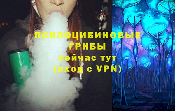 стафф Алексин