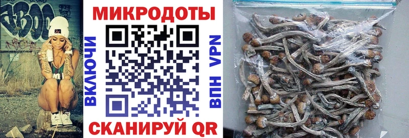 Галлюциногенные грибы прущие грибы  Аша 